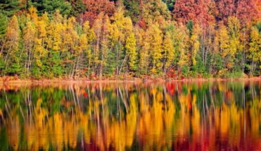 Upstate New York Is The Must-Visit Fall Destination In 2025