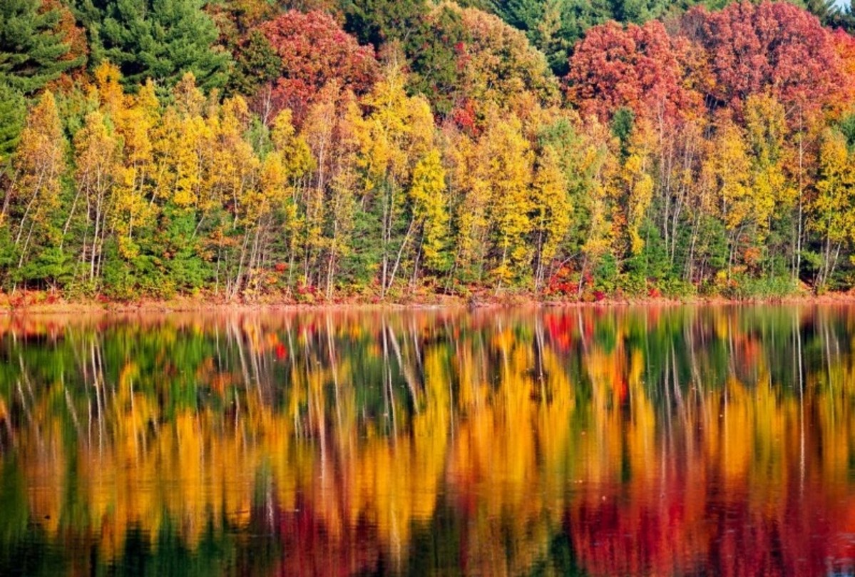 Upstate New York Is The Must-Visit Fall Destination In 2025