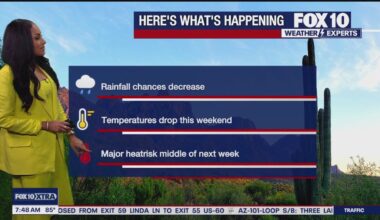 Arizona weather forecast: Highs in the low-100s this weekend in Phoenix