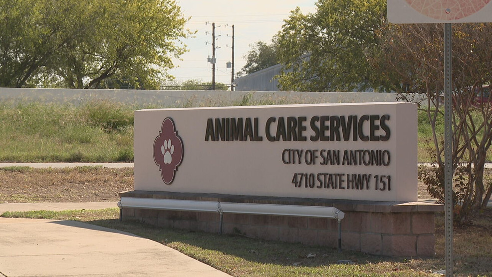 Teen hospitalized after pit bull bite near Harlandale Park; dog still on the loose