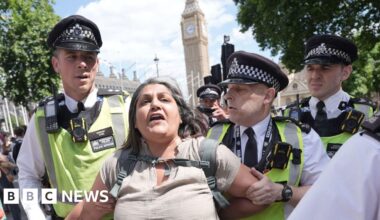 Palestine Action protesters arrested by police at London demo