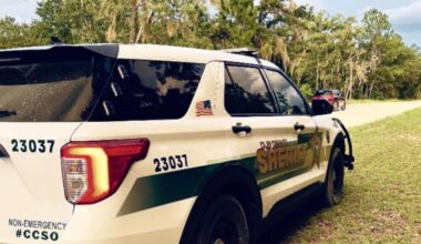 School staff member arrested for alleged child abuse at W.E. Cherry