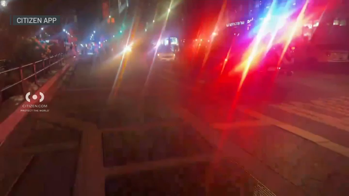 NYC subway delays after man sprays bear Mace at Union Square – NBC New York