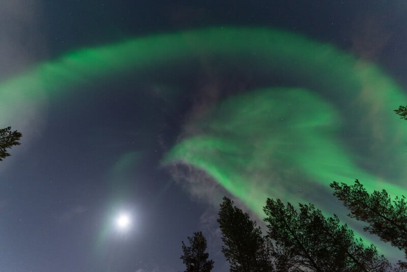 Green aurora borealis lights swirl across a starry night sky above silhouetted treetops, with a bright moon shining on the left side of the image.