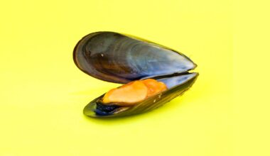 11 Vitamin B12-Rich Foods for Brain Health