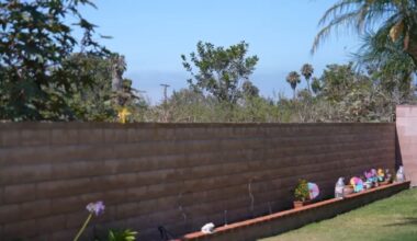 San Diego families say a fire risk is growing in their backyards – NBC 7 San Diego