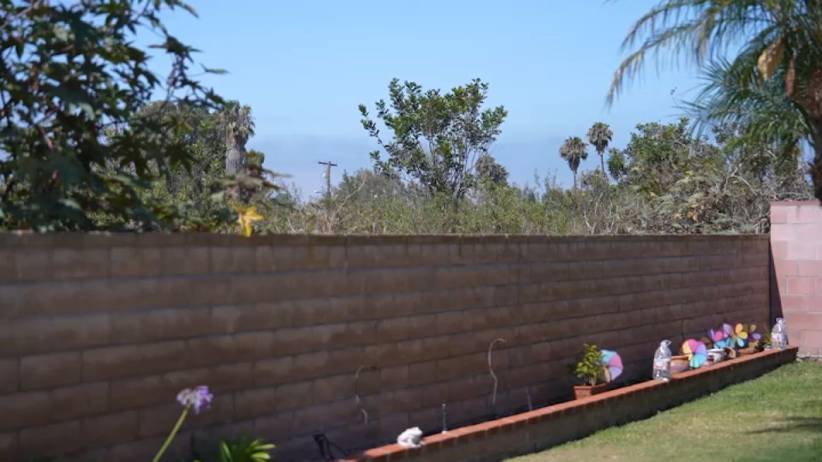 San Diego families say a fire risk is growing in their backyards – NBC 7 San Diego