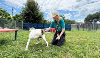 Indy Parks Corps provides young adults training, job opportunities