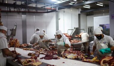 Argentines grill up more beef in first half of 2025 as wages soar