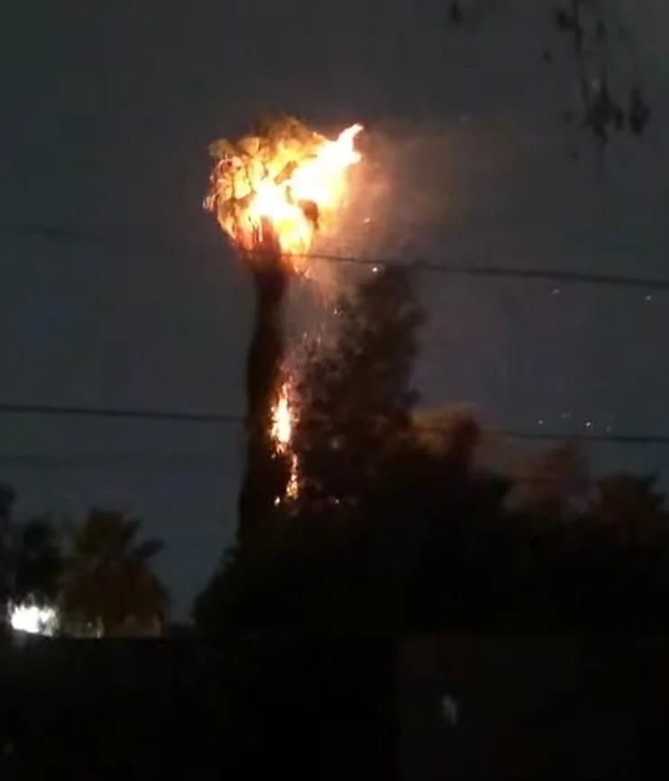 A palm tree catches fire from lightning at 18th Avenue and Flower Street in Phoenix on Aug. 13, 2025.