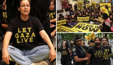 Protesters swarm Chuck Schumer, Kirsten Gillibrand's NYC offices to 'let Gaza live'
