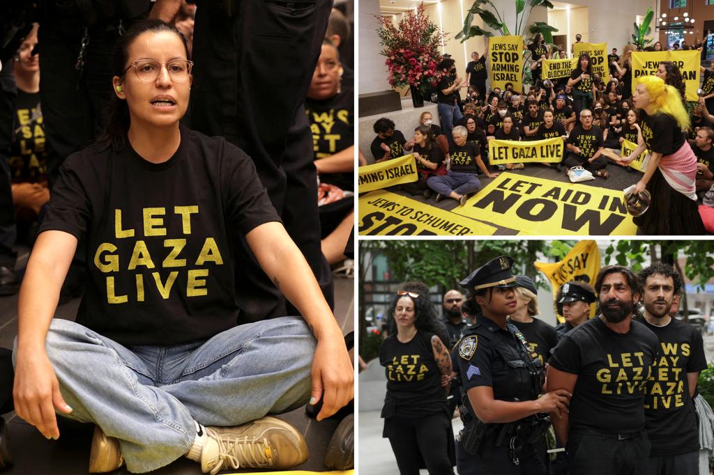 Protesters swarm Chuck Schumer, Kirsten Gillibrand's NYC offices to 'let Gaza live'