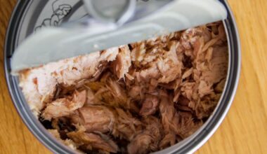 Is It Healthy To Eat Canned Tuna Every Day? Dietitians Explain
