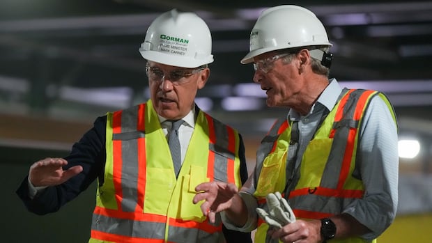 Carney hints at dropping some U.S. tariffs if it will help Canadian industries hit by trade war