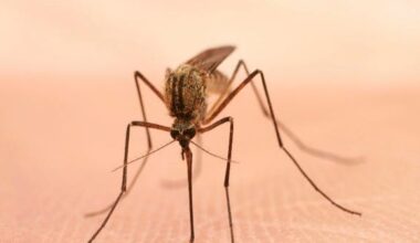 West Nile virus detected in Berks County, Pennsylvania, officials say
