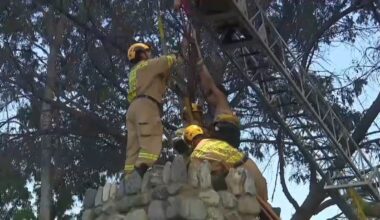Firefighters free woman stuck in chimney in San Fernando – NBC Los Angeles