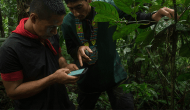 Apply Now: $300,000 for Climate Resilience AI Solutions