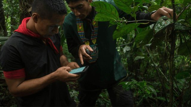 Apply Now: $300,000 for Climate Resilience AI Solutions