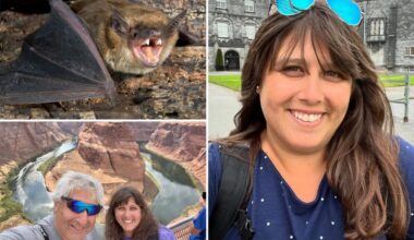 Massachusetts woman hit with over $20K medical bill after a wild bat flew into her mouth on vacation