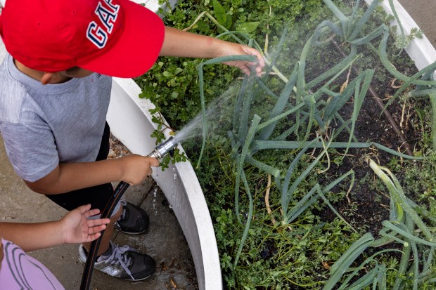 A student waters the garden beds at Grissom Fine and...