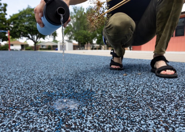 Instructional bilingual teacher assistant Esperanza Baeza pours water onto the...