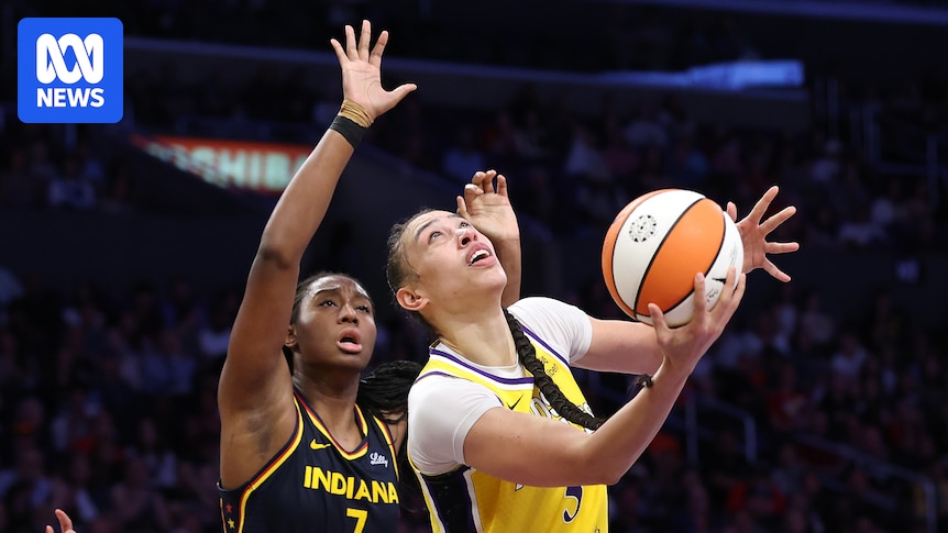 Sex toy thrown onto court during WNBA match between LA Sparks and Indiana Fever