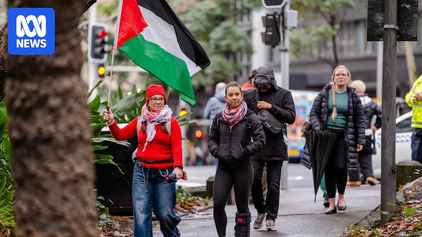 Live updates: Pro-Palestinian protesters cleared from Sydney Harbour Bridge after march