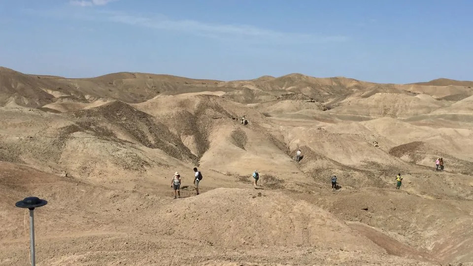The Ledi-Geraru Research Project paleontological team looks for fossils in the Afar Region's Lee Adoyta Basin. - Kaye Reed/Arizona State University