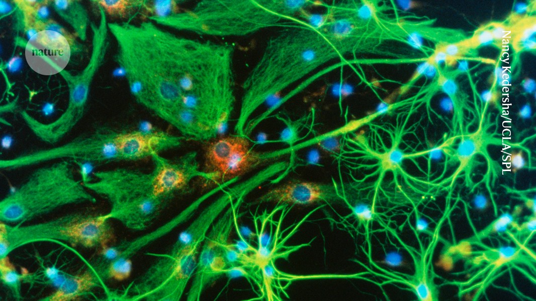 the gene-altering tools tackling deadly disorders