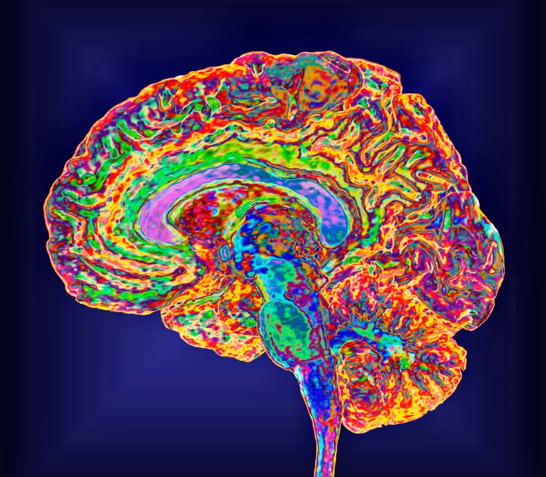 A scan of a healthy human brain shown in rainbow colours on a dark blue background