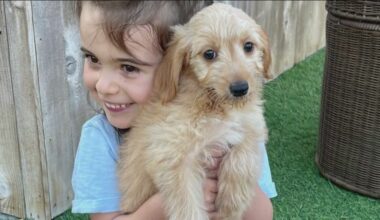 Mikayla's journey: Canine therapy brings comfort