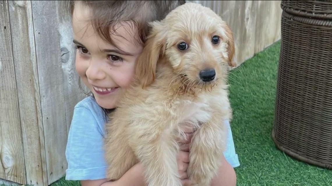 Mikayla's journey: Canine therapy brings comfort