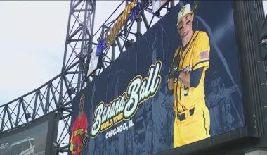 Savannah Bananas hit home run with sold-out Chicago weekend
