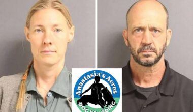 Upstate NY dog boarders charged with animal torture after 21 dogs die in their care
