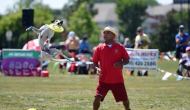 Frisbee Dog World Championship to return to a Chicago suburb – NBC Chicago