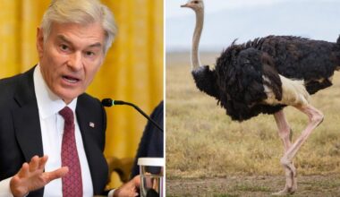 Dr. Oz urges Canada to toss aside court ruling to save the ostriches