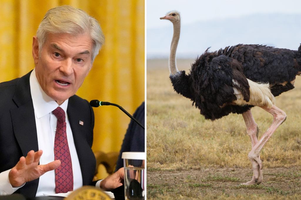 Dr. Oz urges Canada to toss aside court ruling to save the ostriches