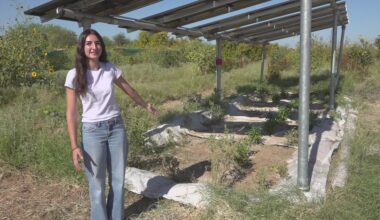 Phoenix student pioneers agrivoltaics at Arizona farms