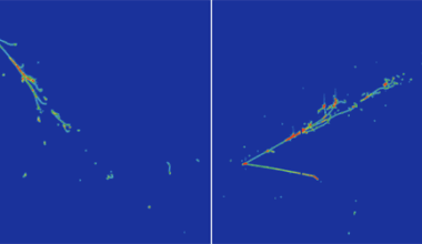 Latest Data Rule Out a Leading Explanation of a Neutrino Anomaly