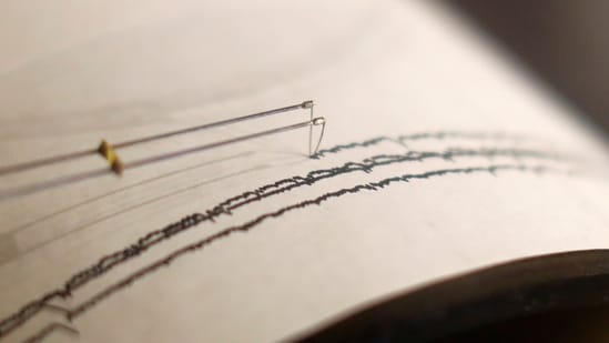USGS said 3.0 magnitude earthquake struck near Hasbrouck Heights, New Jersey, on Saturday night (local time).(Representative image/REUTERS)