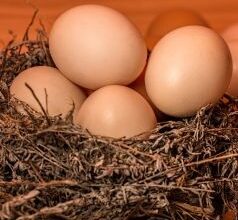 4 Easy Retirement Withdrawal Plans