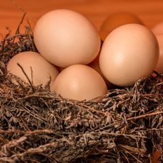 4 Easy Retirement Withdrawal Plans