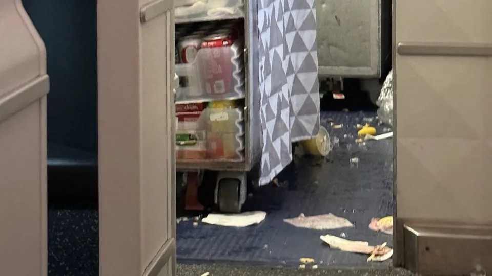 Delta passengers said service carts and other items flew into the air during intense turbulence on the flight. - William Webster