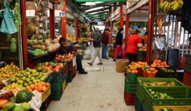 Colombia analysts see steady economic growth, but fiscal risks loom: Reuters poll