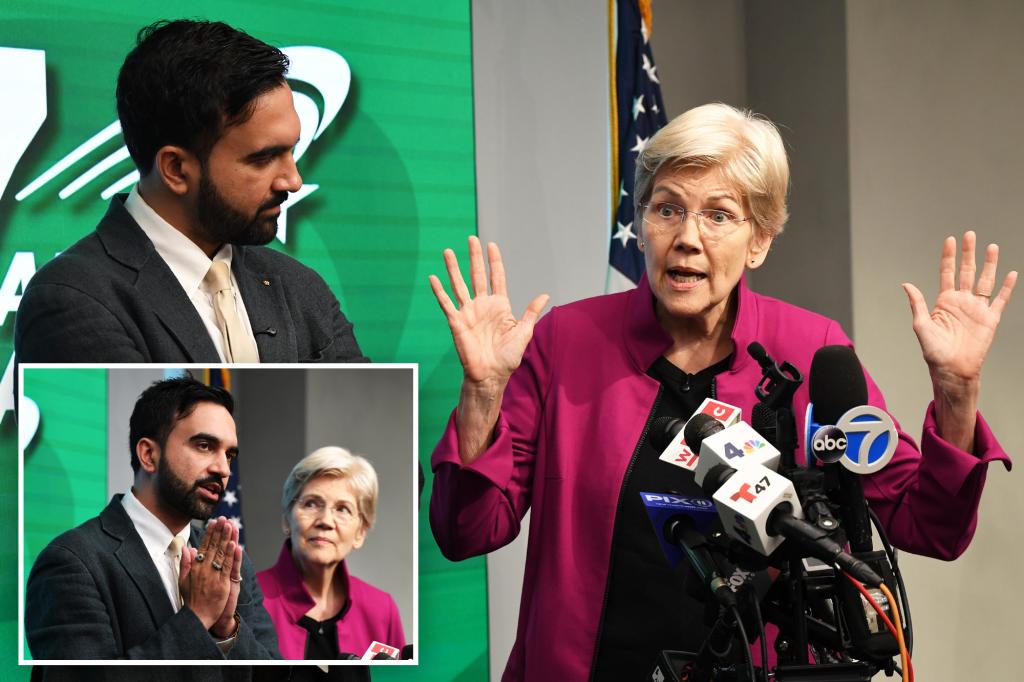 Far left Sen. Warren gushes over NYC mayoral candidate Zohran Mamdani — as other high-profile Dems stay silent