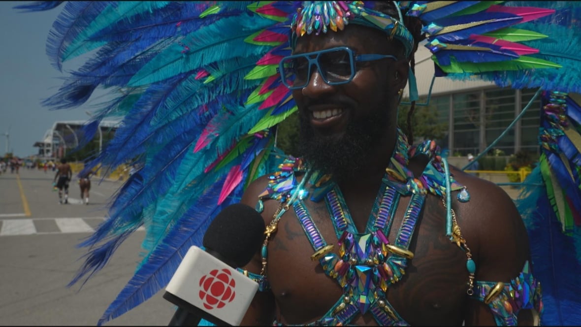 Photo of a man in a blue and green feathered carnival costume