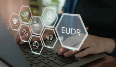 How Forest Product Exporters Can Gain Market Share Amid Global Unpreparedness for EUDR