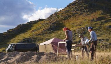 Remains from a Bronze Age sheep help researchers understand ancient plague transmission