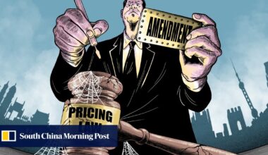 In China’s crippling price wars, an old law’s revision seeks ‘sustainable equilibrium’