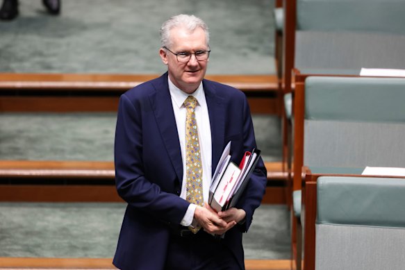 Home Affairs Minister Tony Burke.